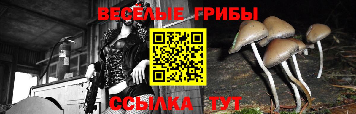Лангепас  Псилоцибиновые грибы GOLDEN TEACHER  Псилоцибиновые грибы мицелий  Вход с VPN 